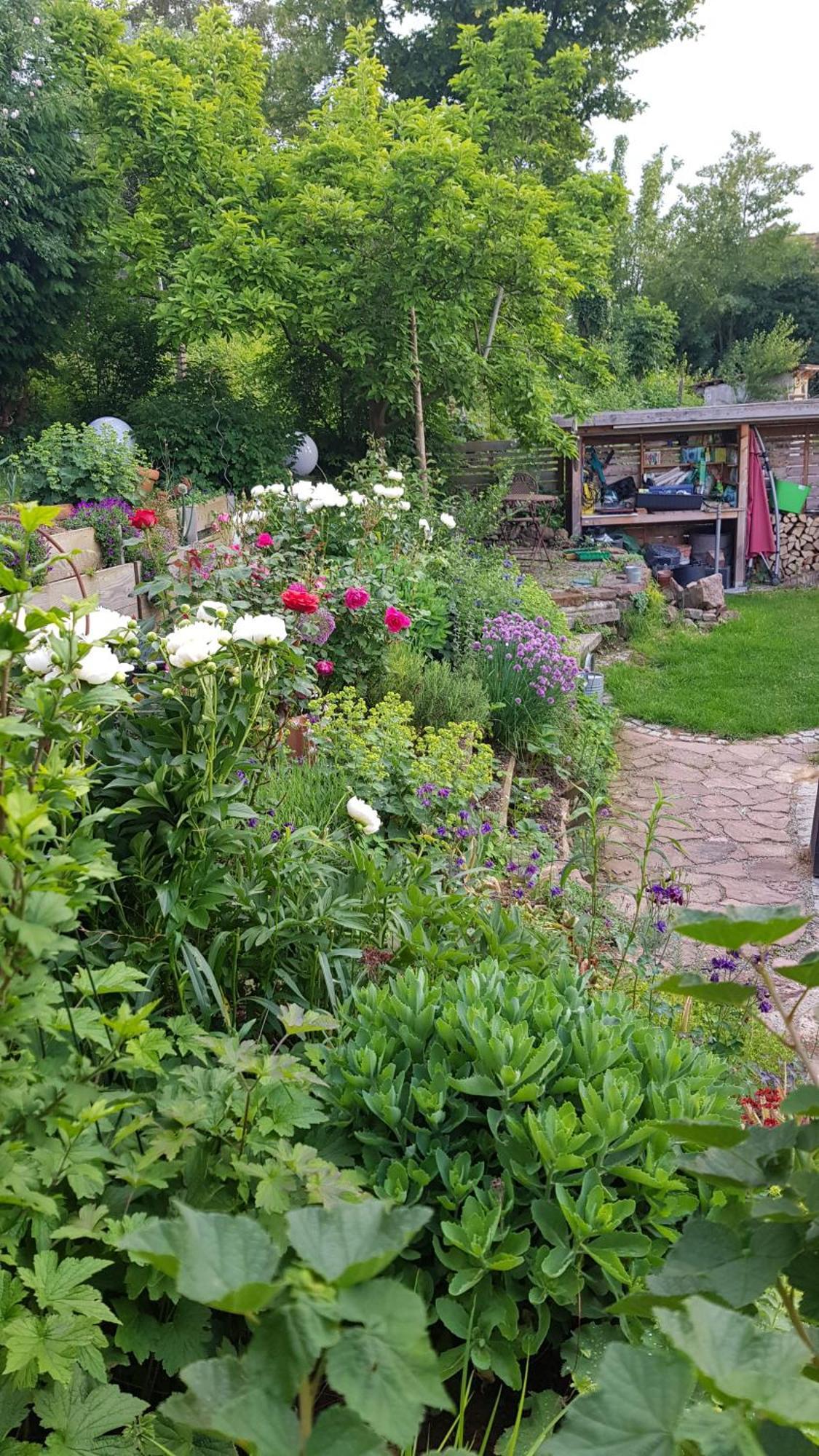 Wohnung Mit Sauna, Garten & Schwimmteich Bietigheim-Bissingen Extérieur photo
