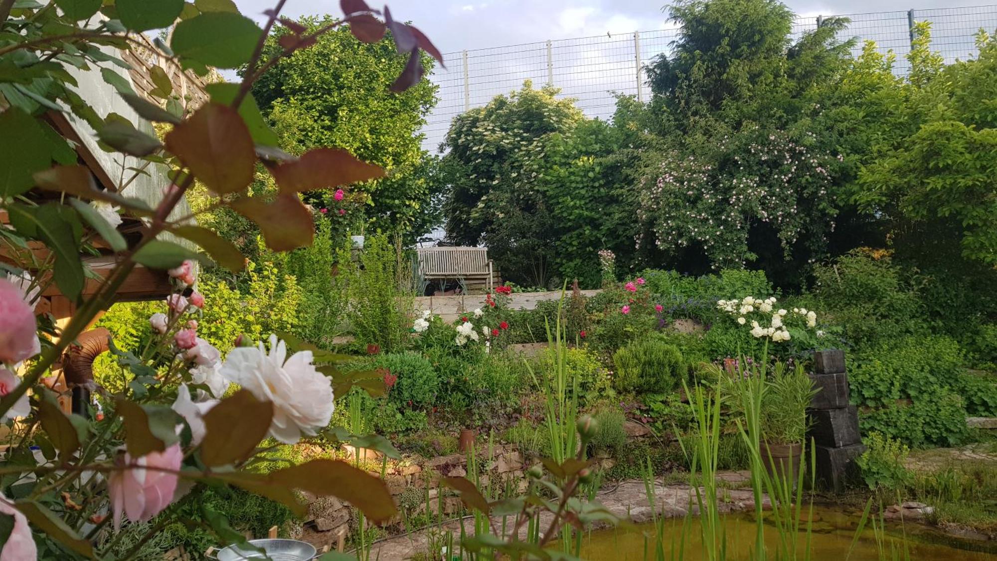 Wohnung Mit Sauna, Garten & Schwimmteich Bietigheim-Bissingen Extérieur photo