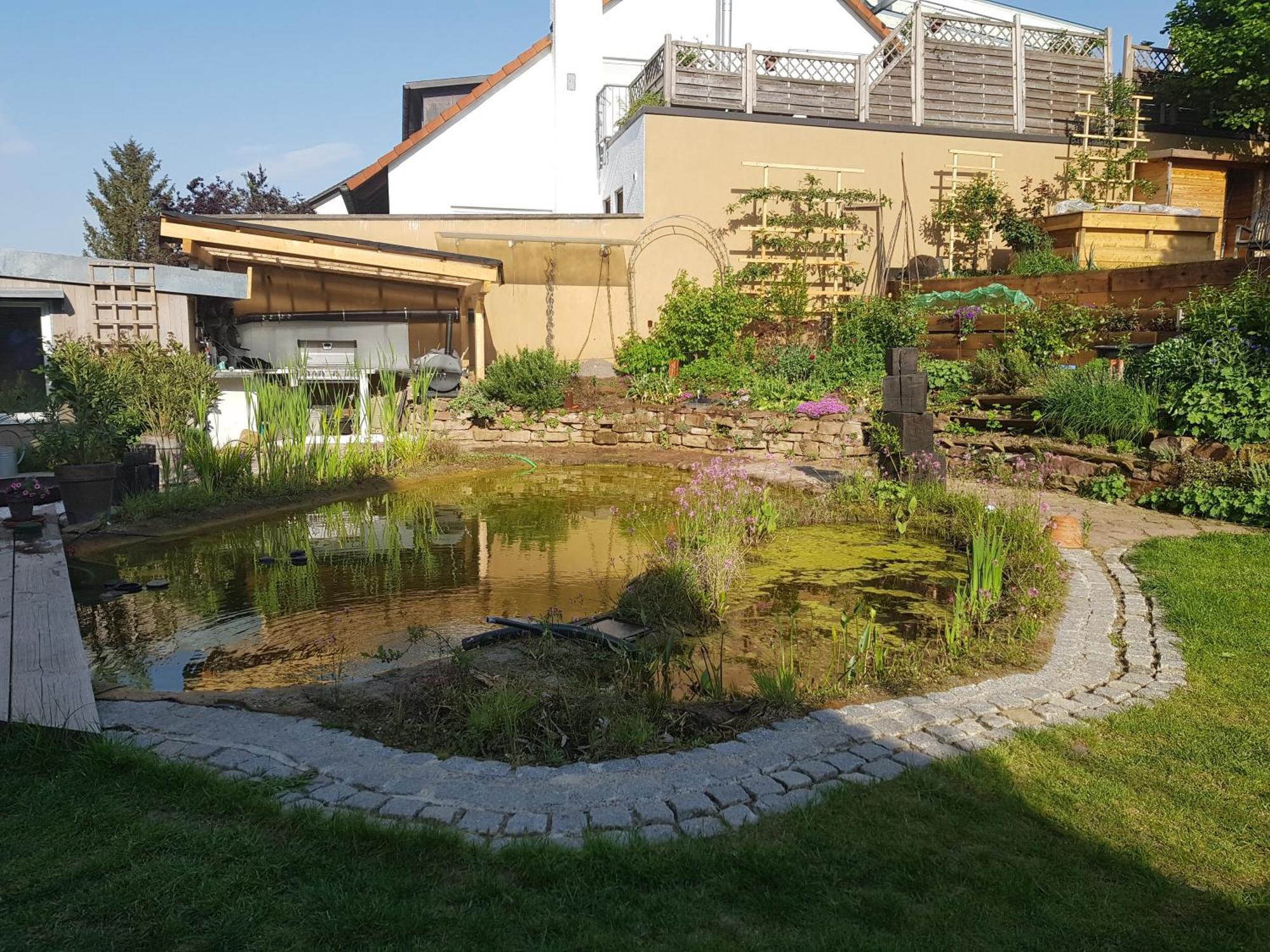 Wohnung Mit Sauna, Garten & Schwimmteich Bietigheim-Bissingen Extérieur photo