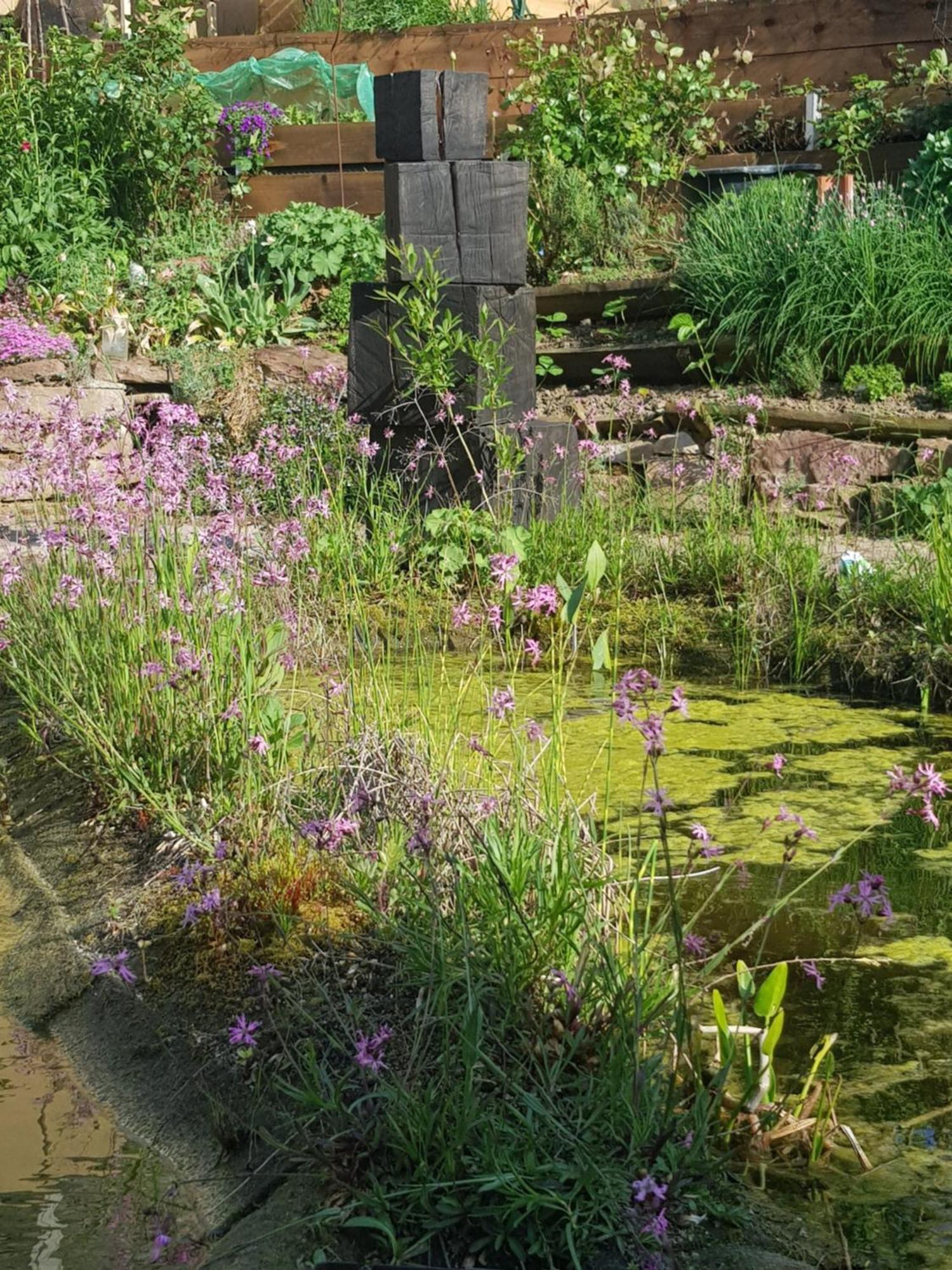 Wohnung Mit Sauna, Garten & Schwimmteich Bietigheim-Bissingen Extérieur photo